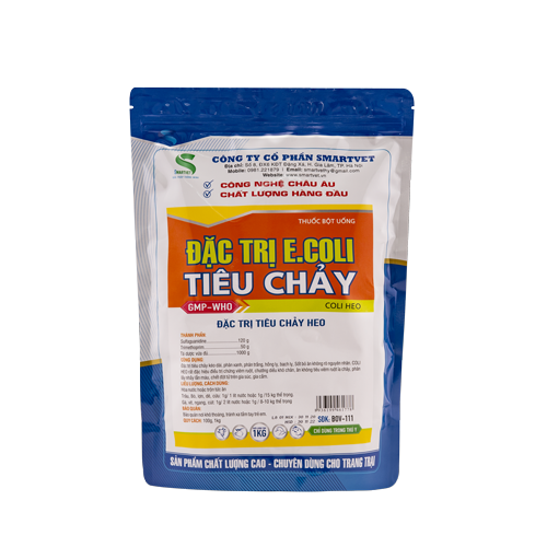 20.-ĐẶC-TRỊ-E-COLI-TIÊU-CHẢY